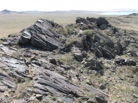 Поверхность надвига в зоне сочленения пород палеоокеанического габбро-гипербазитового комплекса раннего неопротерозоя с энсиалическим фундаментом Дзабханского террейна (Западная Монголия)